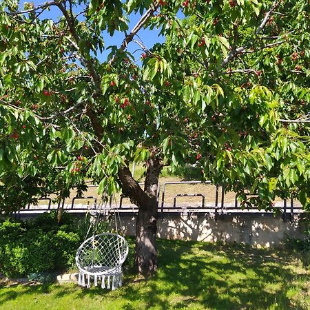 Casa Zucol Appartement Sarnonico Buitenkant foto