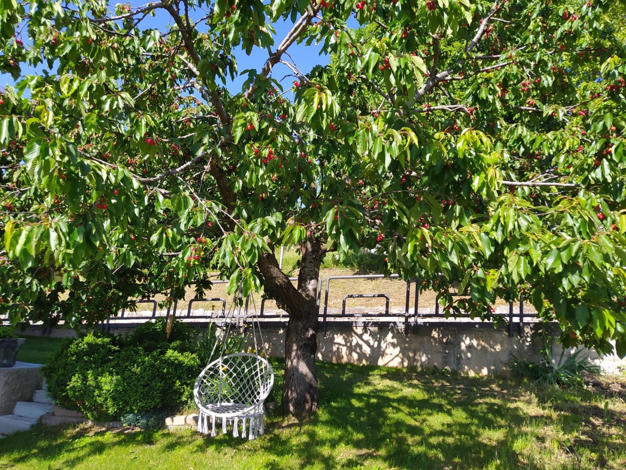 Casa Zucol Appartement Sarnonico Buitenkant foto